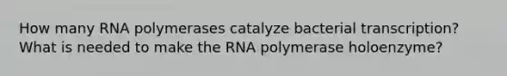 How many RNA polymerases catalyze bacterial transcription? What is needed to make the RNA polymerase holoenzyme?