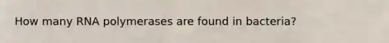 How many RNA polymerases are found in bacteria?