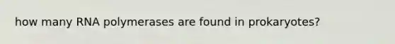 how many RNA polymerases are found in prokaryotes?