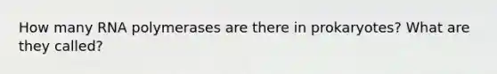 How many RNA polymerases are there in prokaryotes? What are they called?