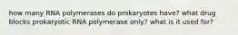 how many RNA polymerases do prokaryotes have? what drug blocks prokaryotic RNA polymerase only? what is it used for?