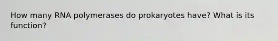 How many RNA polymerases do prokaryotes have? What is its function?