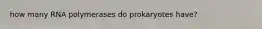 how many RNA polymerases do prokaryotes have?