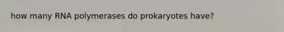 how many RNA polymerases do prokaryotes have?