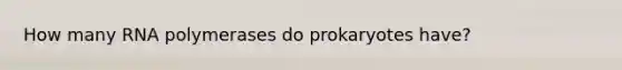 How many RNA polymerases do prokaryotes have?