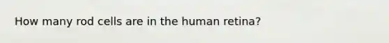 How many rod cells are in the human retina?