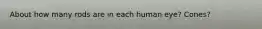 About how many rods are in each human eye? Cones?