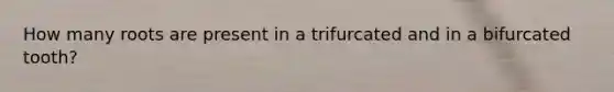 How many roots are present in a trifurcated and in a bifurcated tooth?