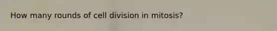 How many rounds of cell division in mitosis?