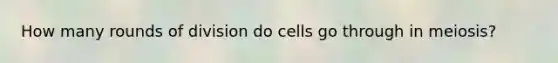 How many rounds of division do cells go through in meiosis?