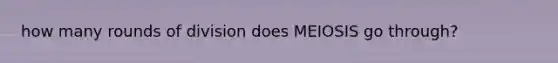 how many rounds of division does MEIOSIS go through?