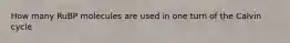 How many RuBP molecules are used in one turn of the Calvin cycle