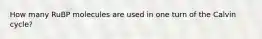 How many RuBP molecules are used in one turn of the Calvin cycle?