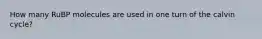 How many RuBP molecules are used in one turn of the calvin cycle?