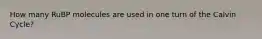How many RuBP molecules are used in one turn of the Calvin Cycle?