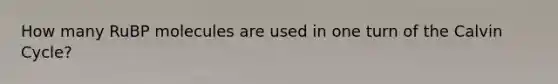 How many RuBP molecules are used in one turn of the Calvin Cycle?
