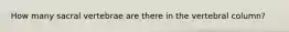 How many sacral vertebrae are there in the vertebral column?