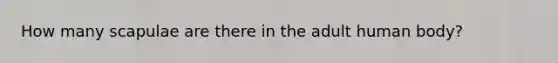 How many scapulae are there in the adult human body?
