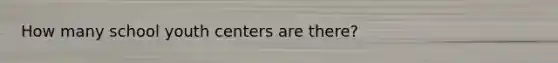 How many school youth centers are there?