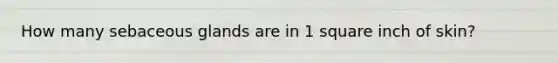 How many sebaceous glands are in 1 square inch of skin?