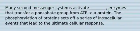 Many second messenger systems activate ________, enzymes that transfer a phosphate group from ATP to a protein. The phosphorylation of proteins sets off a series of intracellular events that lead to the ultimate cellular response.