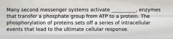 Many second messenger systems activate __________, enzymes that transfer a phosphate group from ATP to a protein. The phosphorylation of proteins sets off a series of intracellular events that lead to the ultimate cellular response.