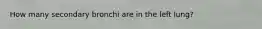 How many secondary bronchi are in the left lung?
