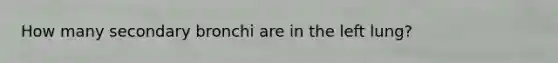 How many secondary bronchi are in the left lung?