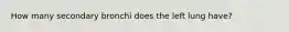 How many secondary bronchi does the left lung have?