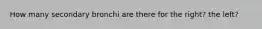 How many secondary bronchi are there for the right? the left?