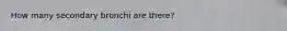 How many secondary bronchi are there?