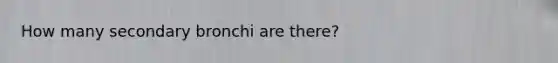 How many secondary bronchi are there?