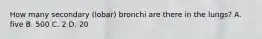 How many secondary (lobar) bronchi are there in the lungs? A. five B. 500 C. 2 D. 20