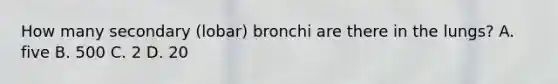 How many secondary (lobar) bronchi are there in the lungs? A. five B. 500 C. 2 D. 20