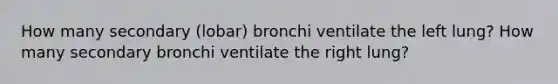 How many secondary (lobar) bronchi ventilate the left lung? How many secondary bronchi ventilate the right lung?