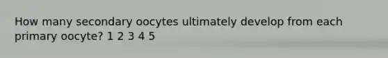 How many secondary oocytes ultimately develop from each primary oocyte? 1 2 3 4 5