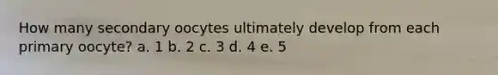 How many secondary oocytes ultimately develop from each primary oocyte? a. 1 b. 2 c. 3 d. 4 e. 5