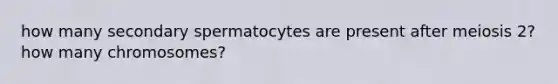 how many secondary spermatocytes are present after meiosis 2? how many chromosomes?