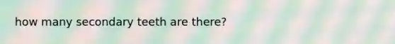 how many secondary teeth are there?