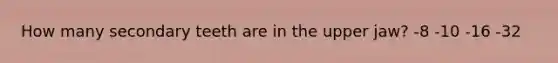 How many secondary teeth are in the upper jaw? -8 -10 -16 -32