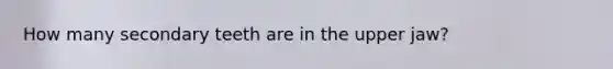 How many secondary teeth are in the upper jaw?