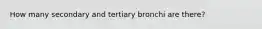 How many secondary and tertiary bronchi are there?