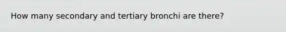 How many secondary and tertiary bronchi are there?