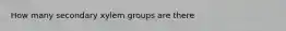 How many secondary xylem groups are there