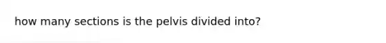 how many sections is the pelvis divided into?