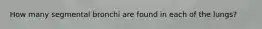 How many segmental bronchi are found in each of the lungs?