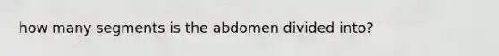 how many segments is the abdomen divided into?