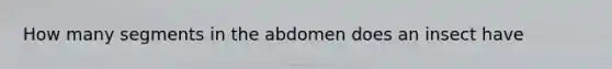 How many segments in the abdomen does an insect have