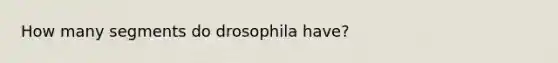 How many segments do drosophila have?