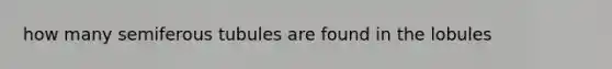 how many semiferous tubules are found in the lobules